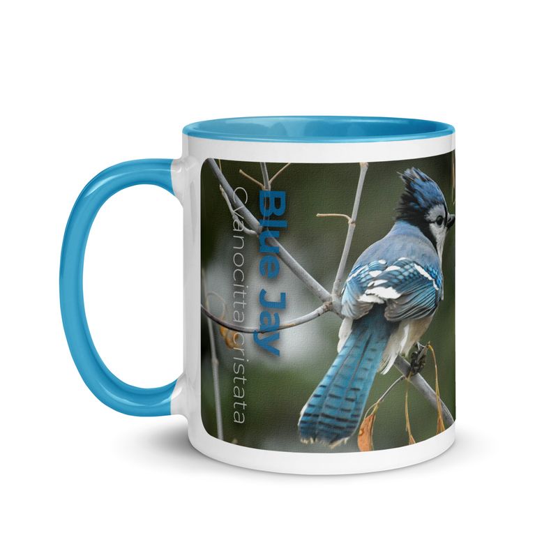 Lucid Times Blue Jay 11 oz Coloured Ceramic Mug