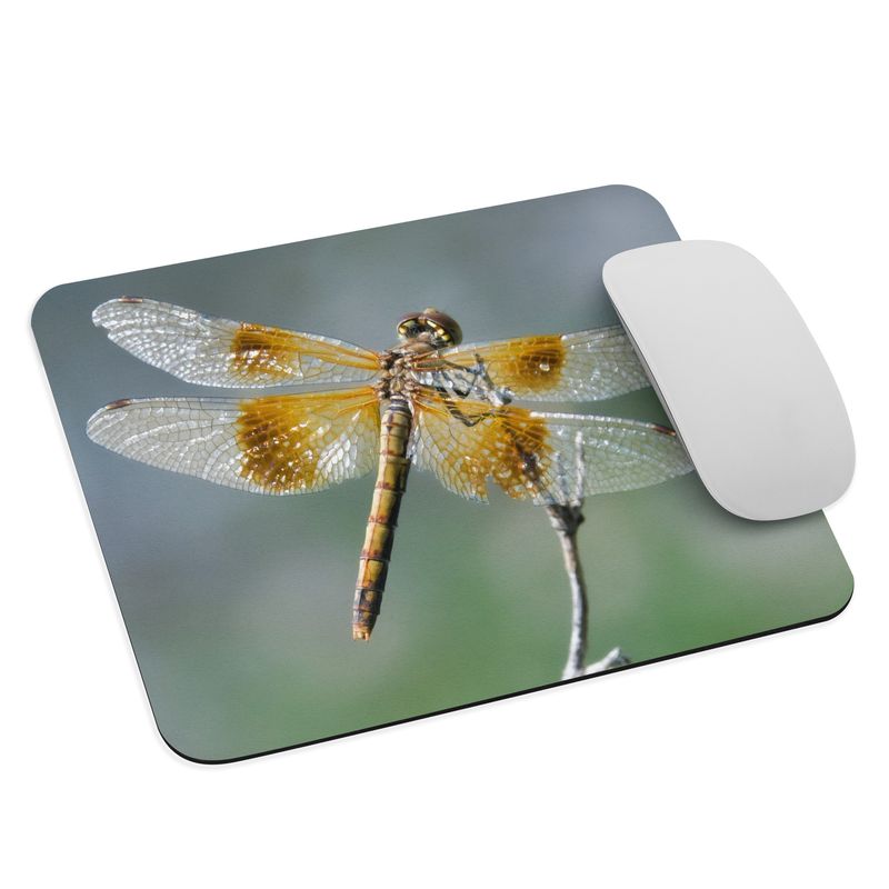 Lucid Times Western Meadowhawk Mouse pad