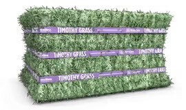 Timothy Grass Standlee 50#