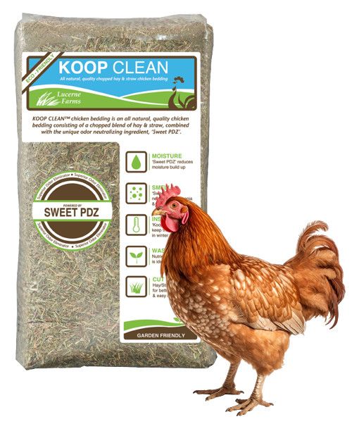 Koop Clean 30#