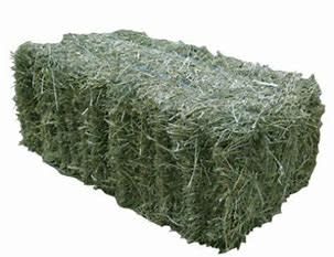 Alfalfa Bale