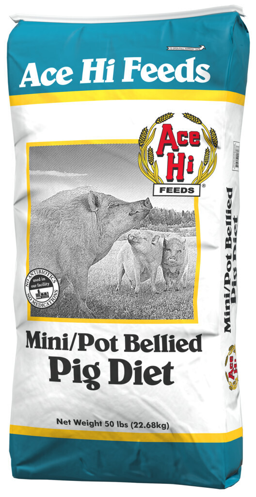 Pot Belly Pig 50# AH