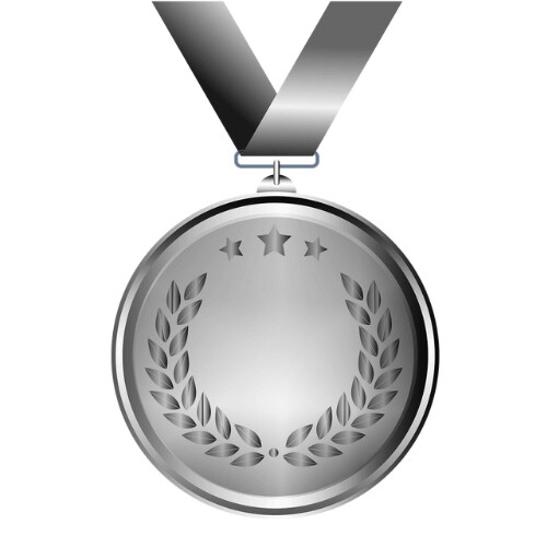 SILVER PARTNER