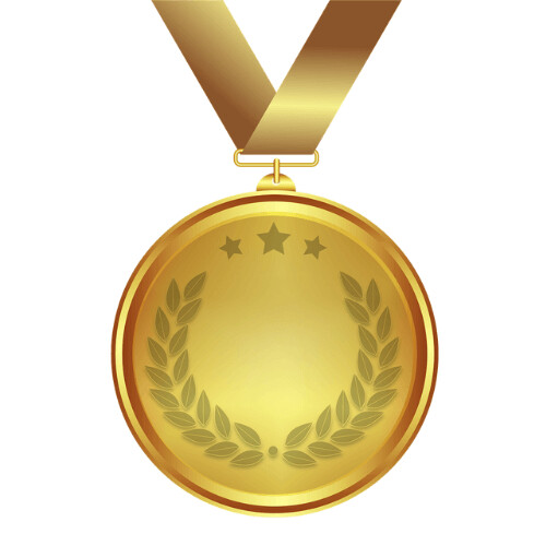 PLATINUM PARTNER