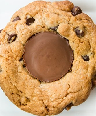 8 PK - Chocolate Chip Peanut Butter Cup