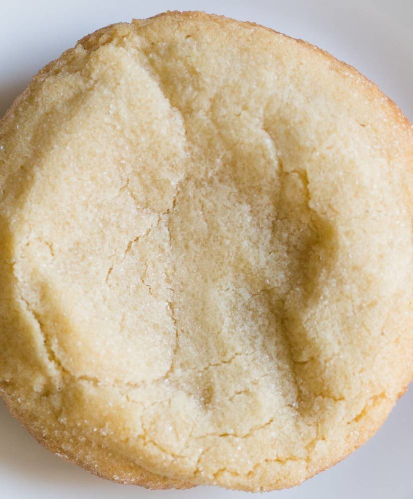 8 PK - Sugar Cookie