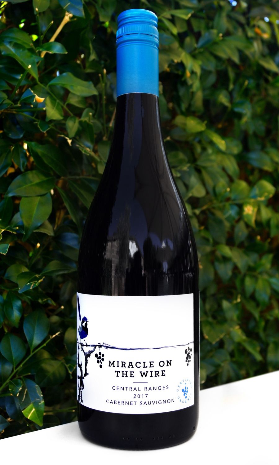 Leogate Miracle on the Wire Cabernet Sauvignon