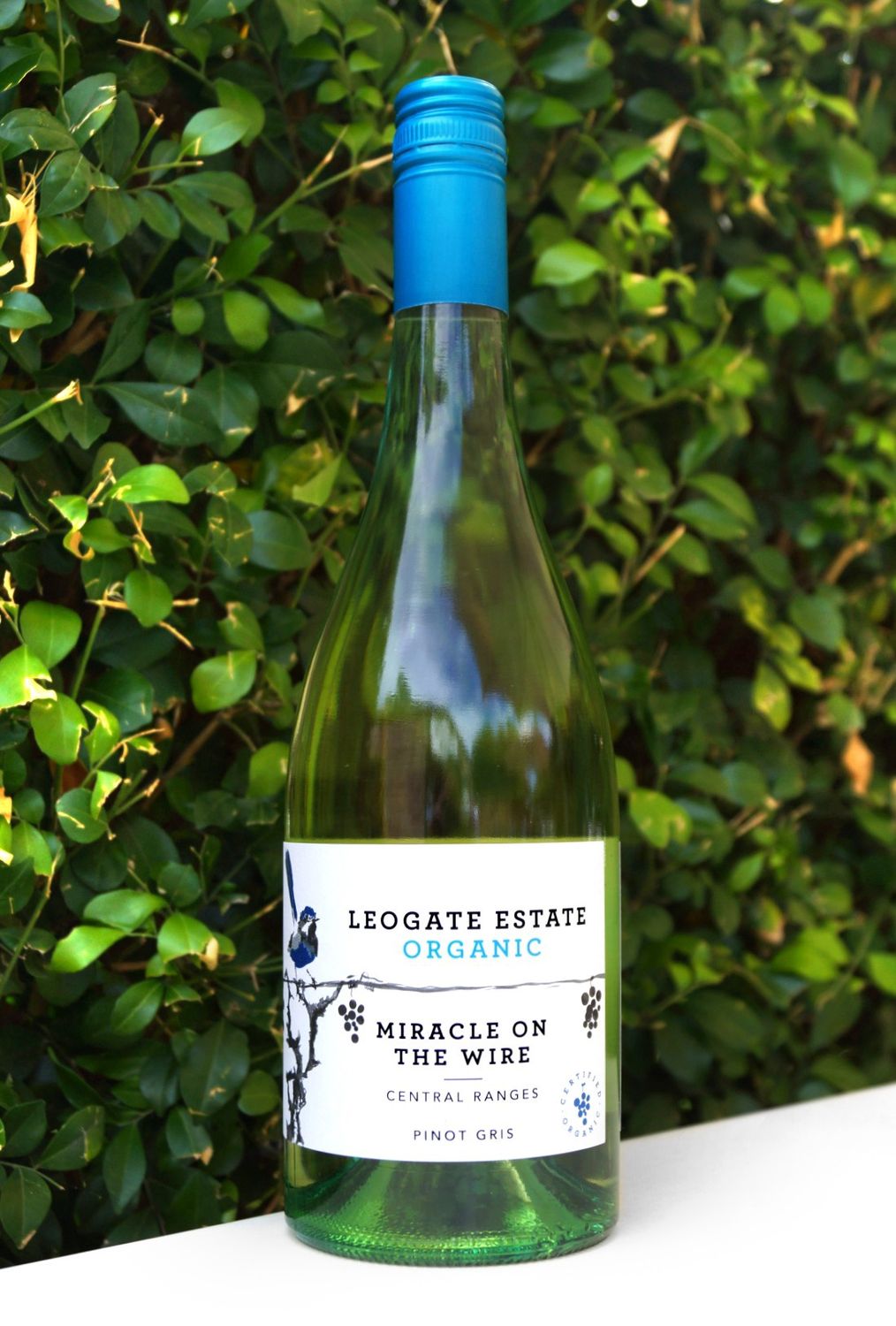 Leogate Miracle On The Wire Pinot Gris