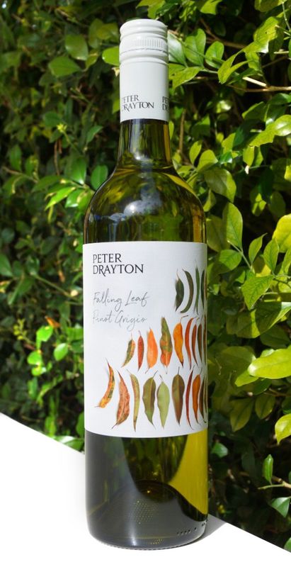 Peter Drayton Falling Leaf Pinot Grigio