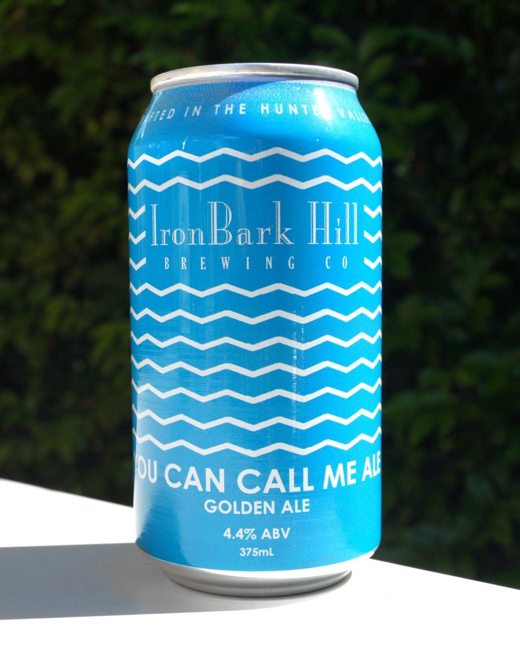 IronBark Hill You Can Call Me Ale
