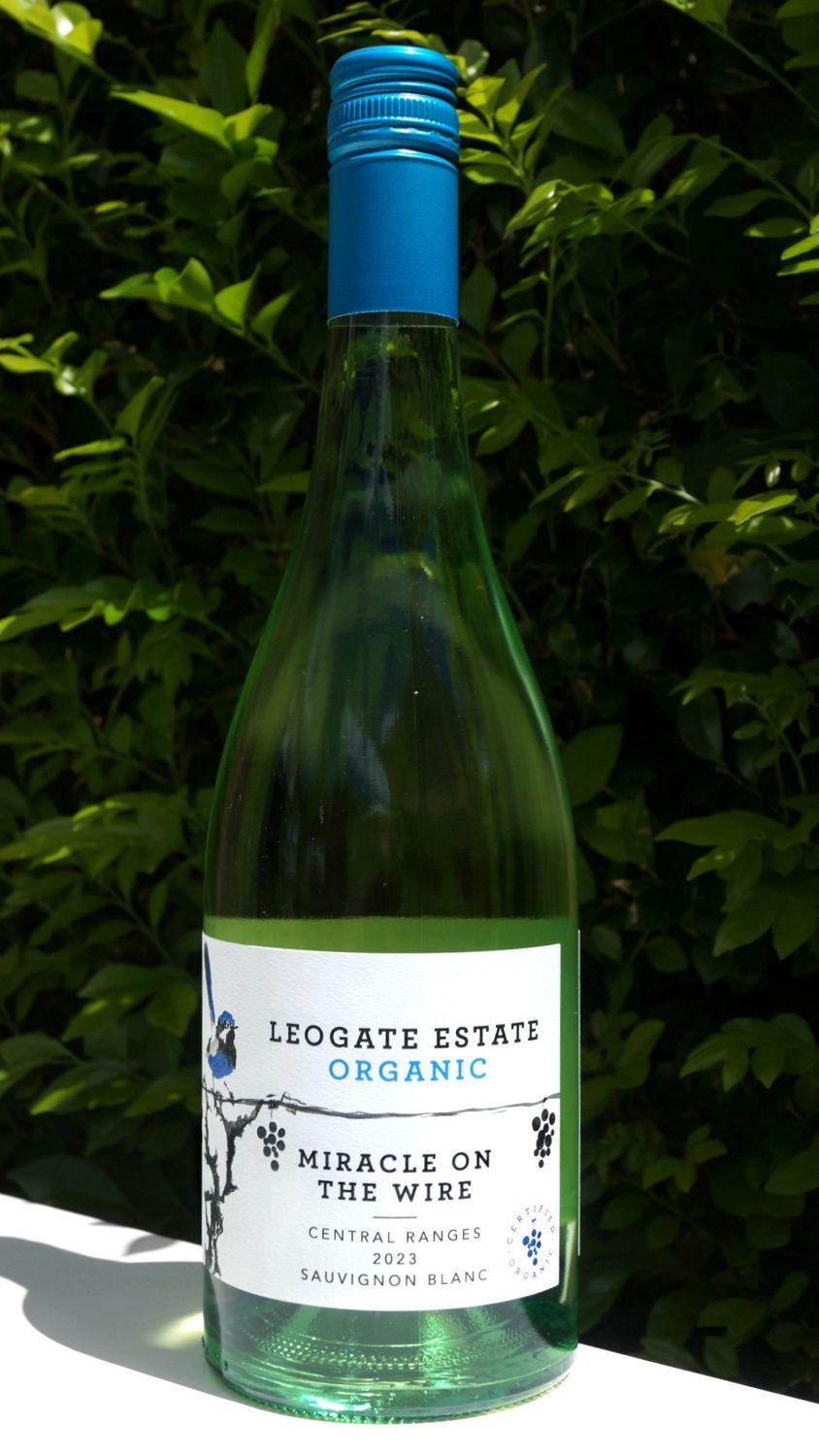 Leogate Miracle on the Wire Sauvignon Blanc