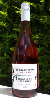 Leogate Miracle on the Wire Rose