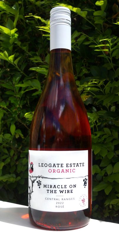 Leogate Miracle on the Wire Rose