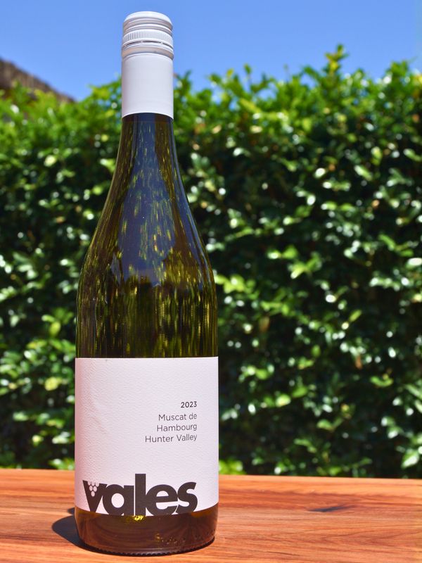 Vales Muscat de Hambourg