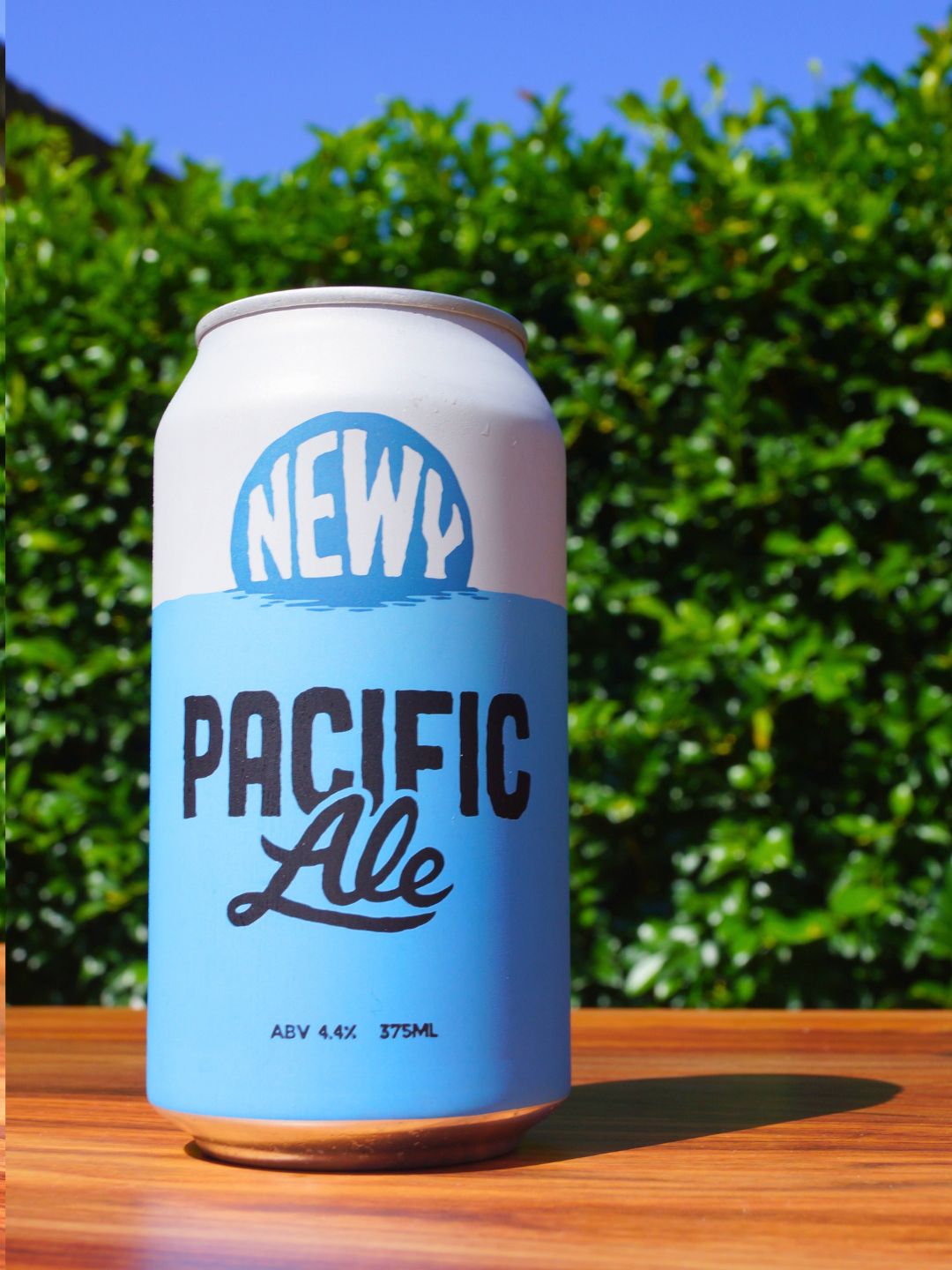 Hope Estate Newy Pacific Ale