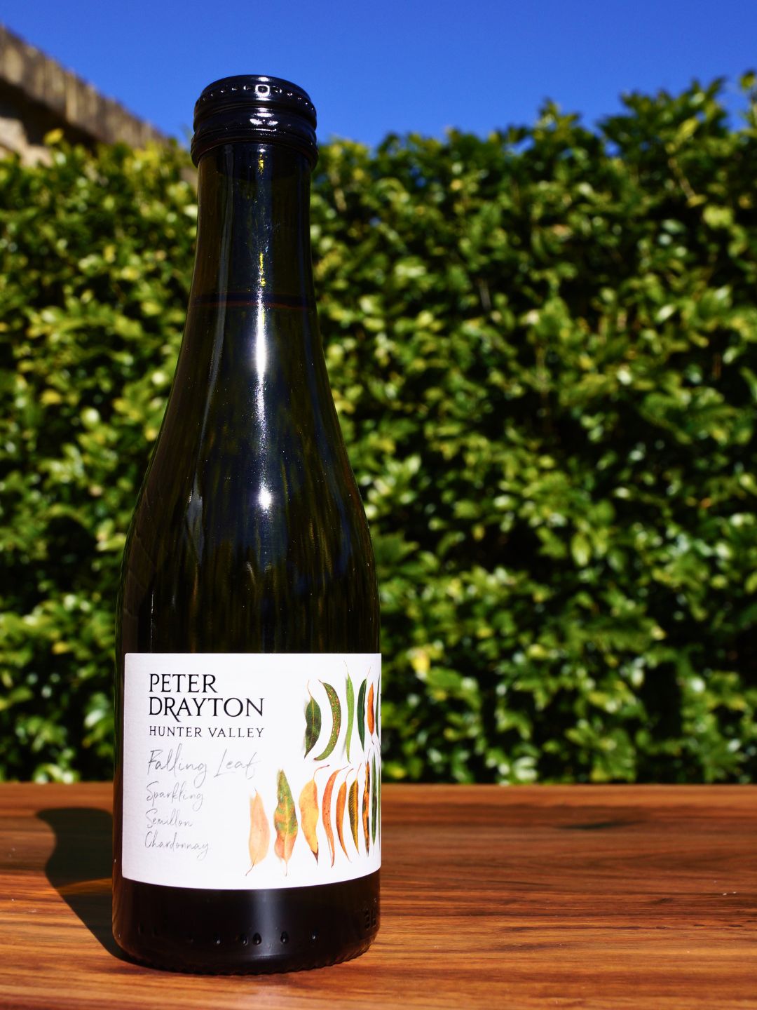 Peter Drayton Falling Leaf Sparkling Semillon Chardonnay Piccolo 200ml