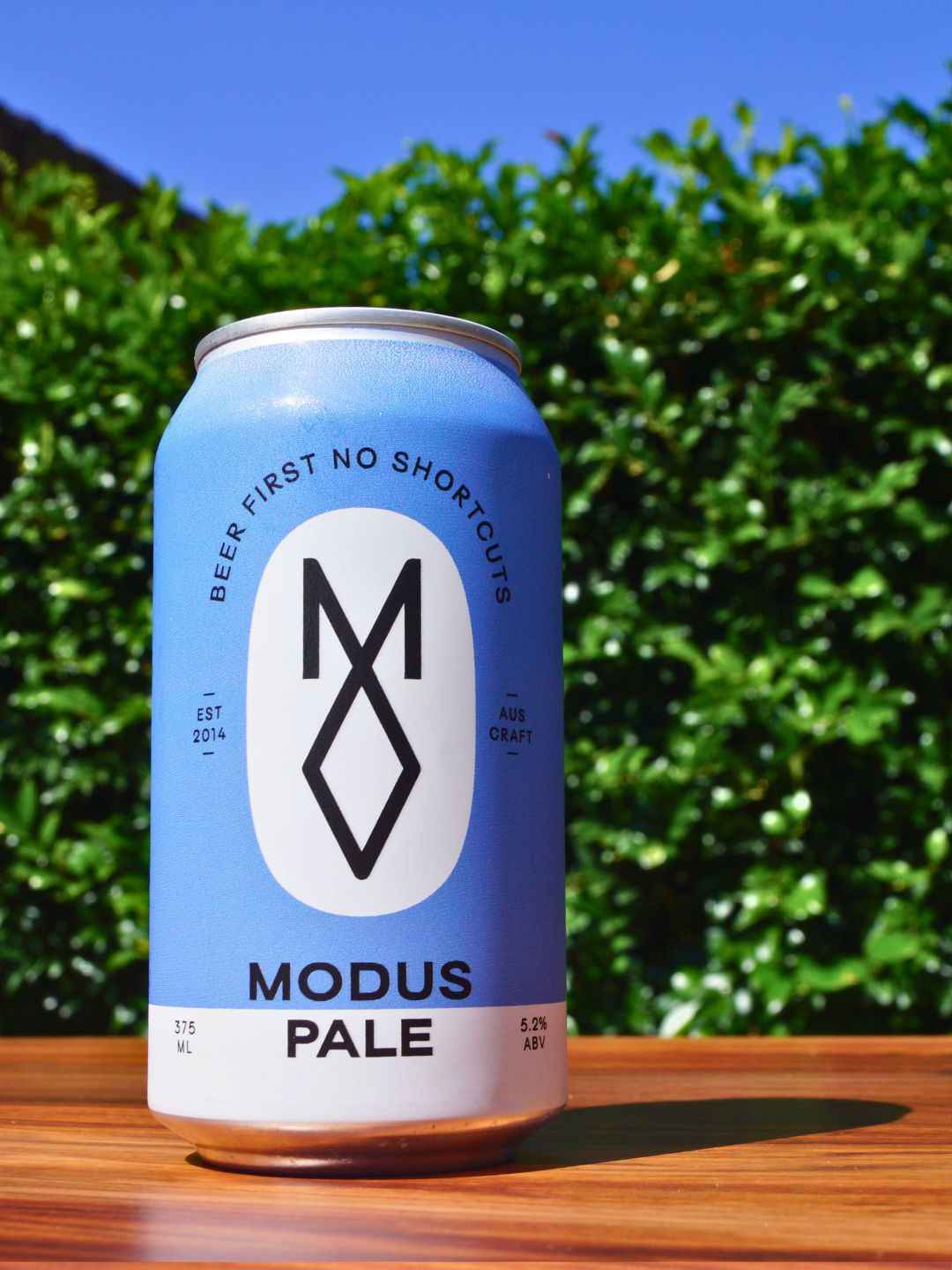 Modus Brewing Pale Ale