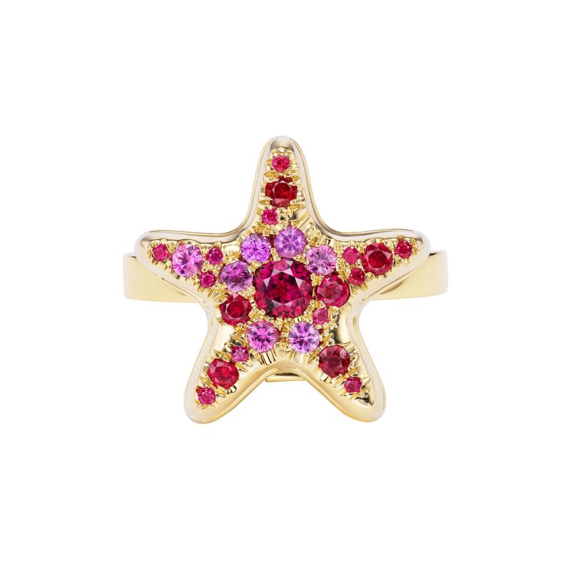 Transformation Star Necklace and Ring