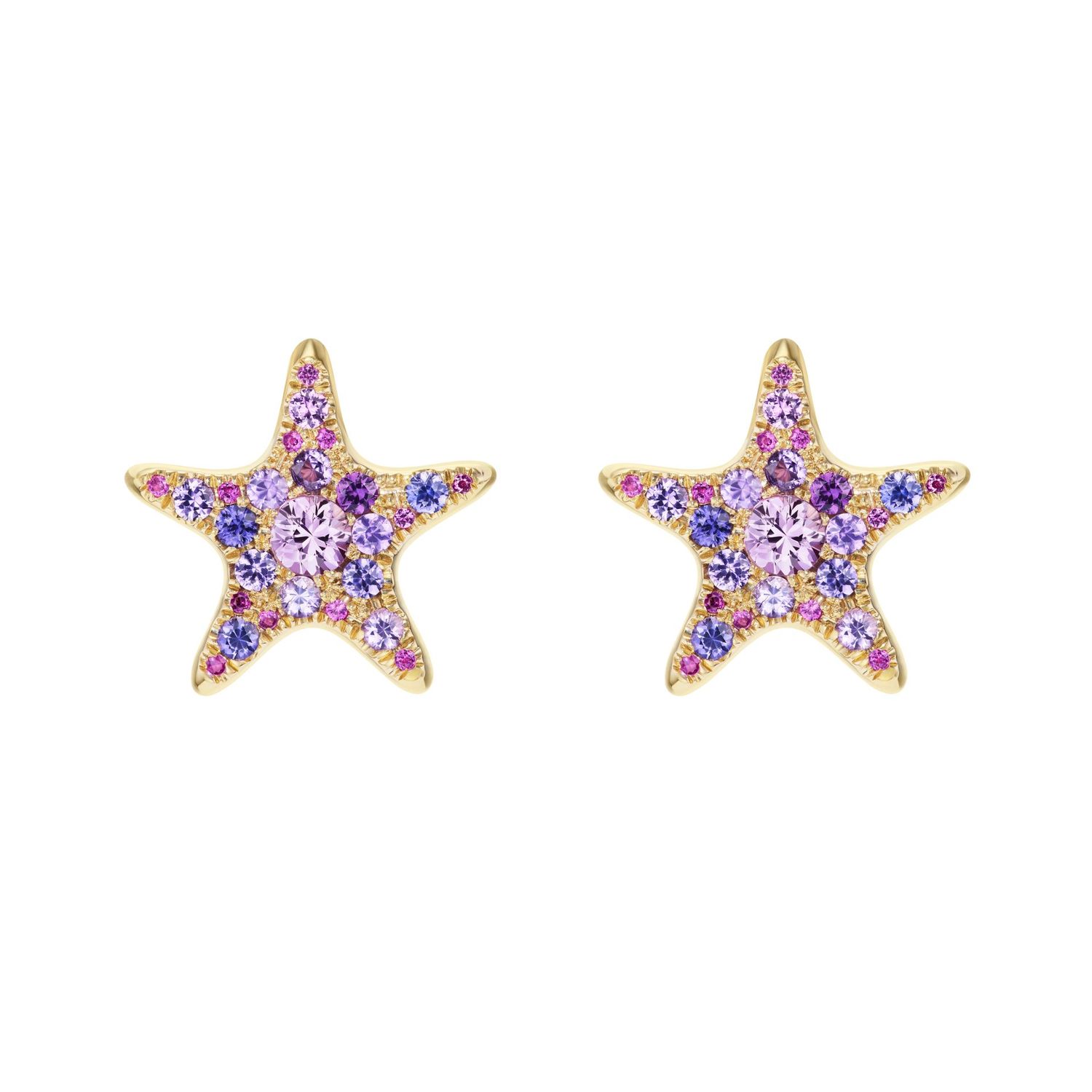 Starfish Earrings