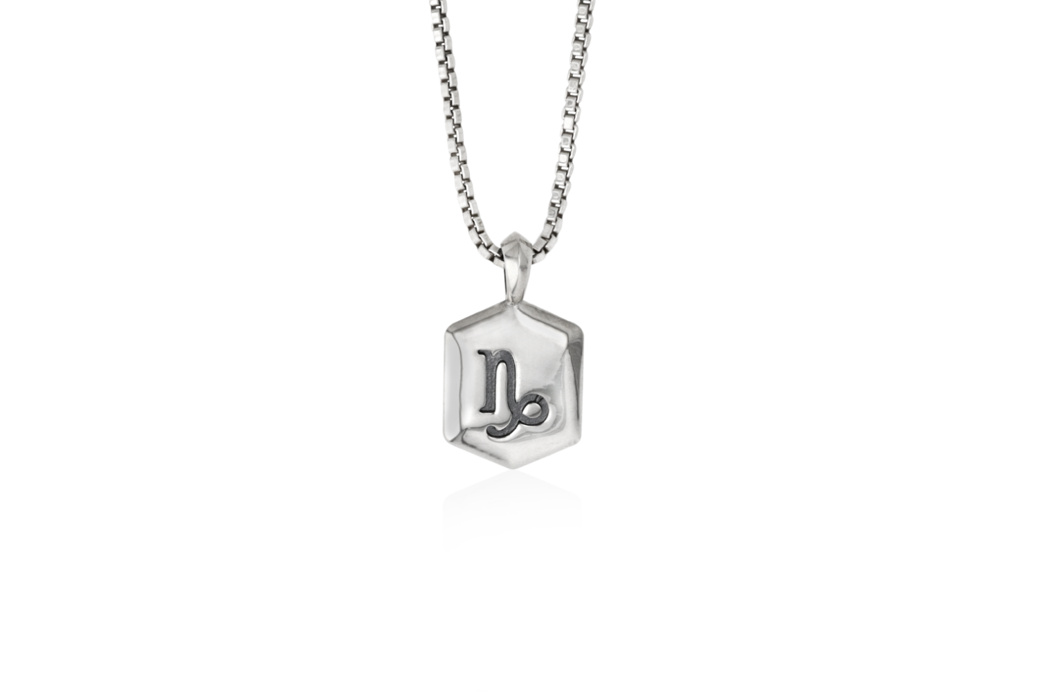 Zodiac Pendant, Item: Capricorn