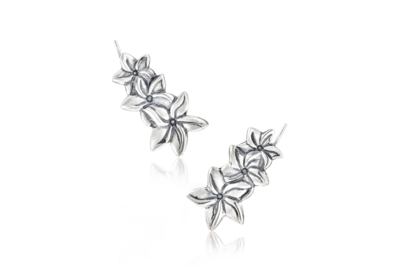 Jasmine Flower Crawlers