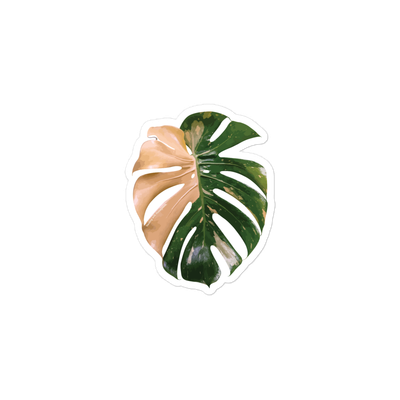 Monstera &#39;Thai Constellation&#39; Sticker