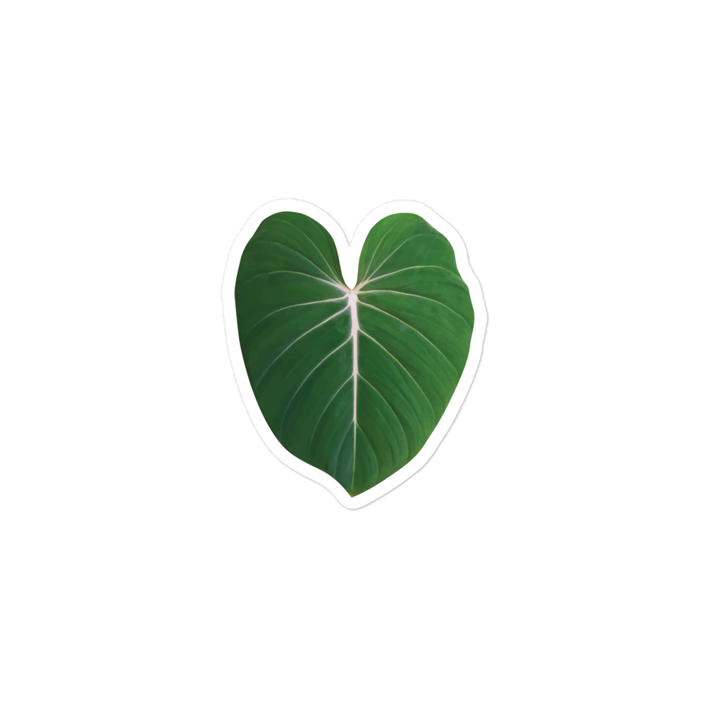Philodendron &#39;Gloriosum&#39; Leaf Sticker