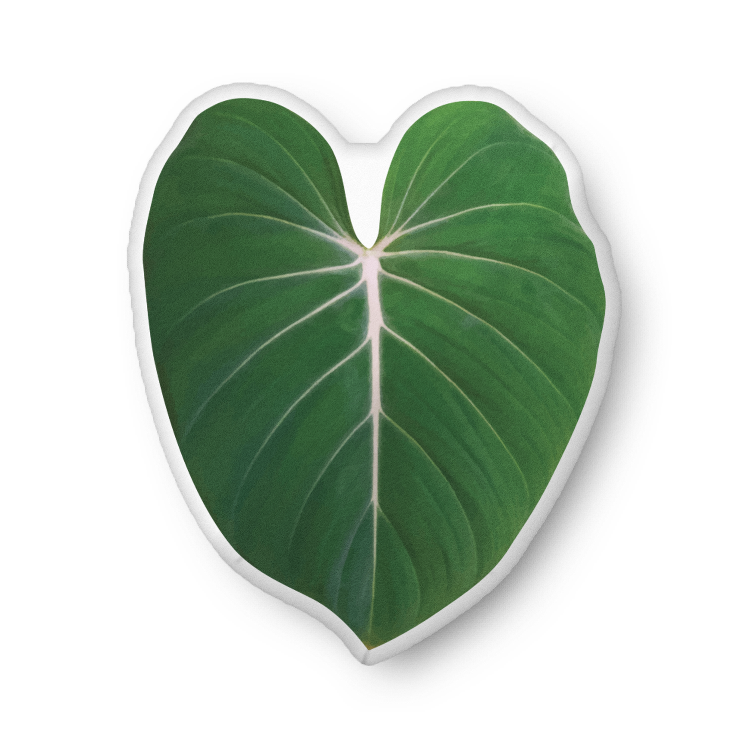 Philodendron &#39;Gloriosum&#39; Leaf-shaped Pillow