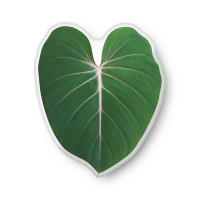 Philodendron &#39;Gloriosum&#39; Leaf-shaped Pillow
