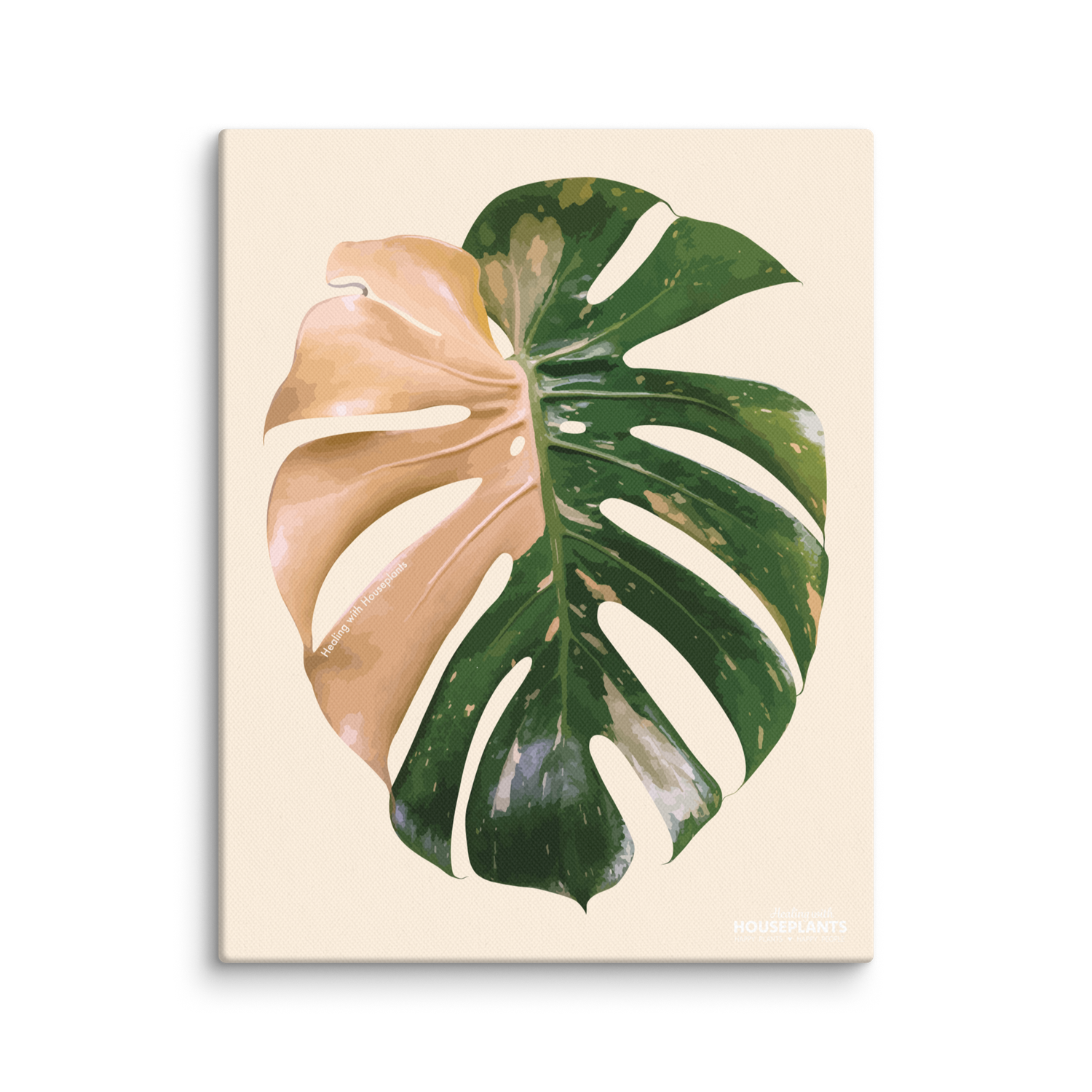 Monstera &#39;Thai Constellation&#39; Canvas