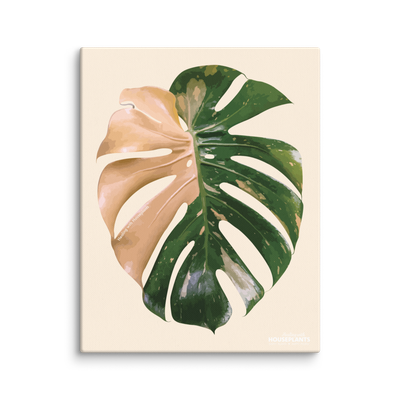 Houseplant Artwork