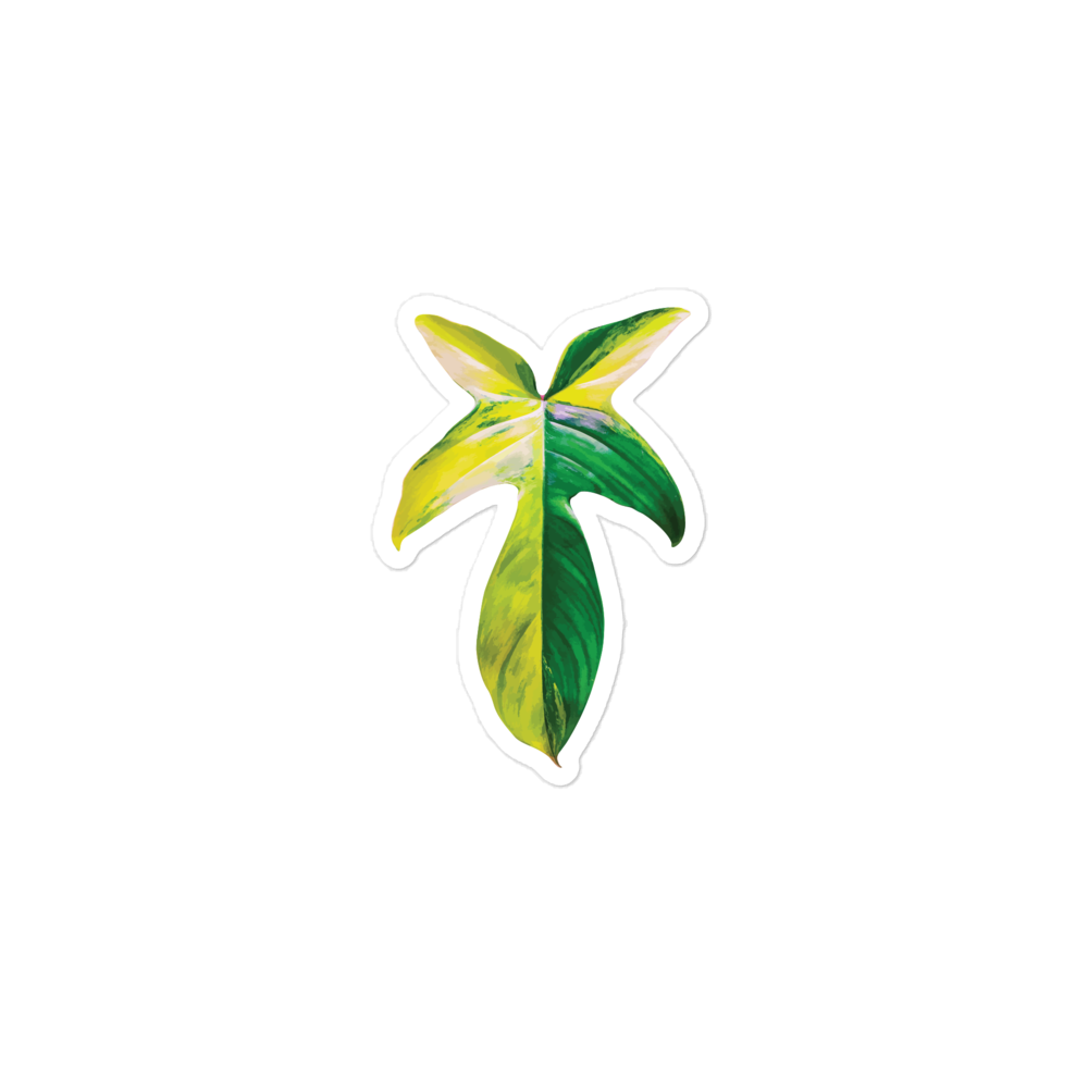 Philodendron &#39;Florida Beauty&#39; Sticker