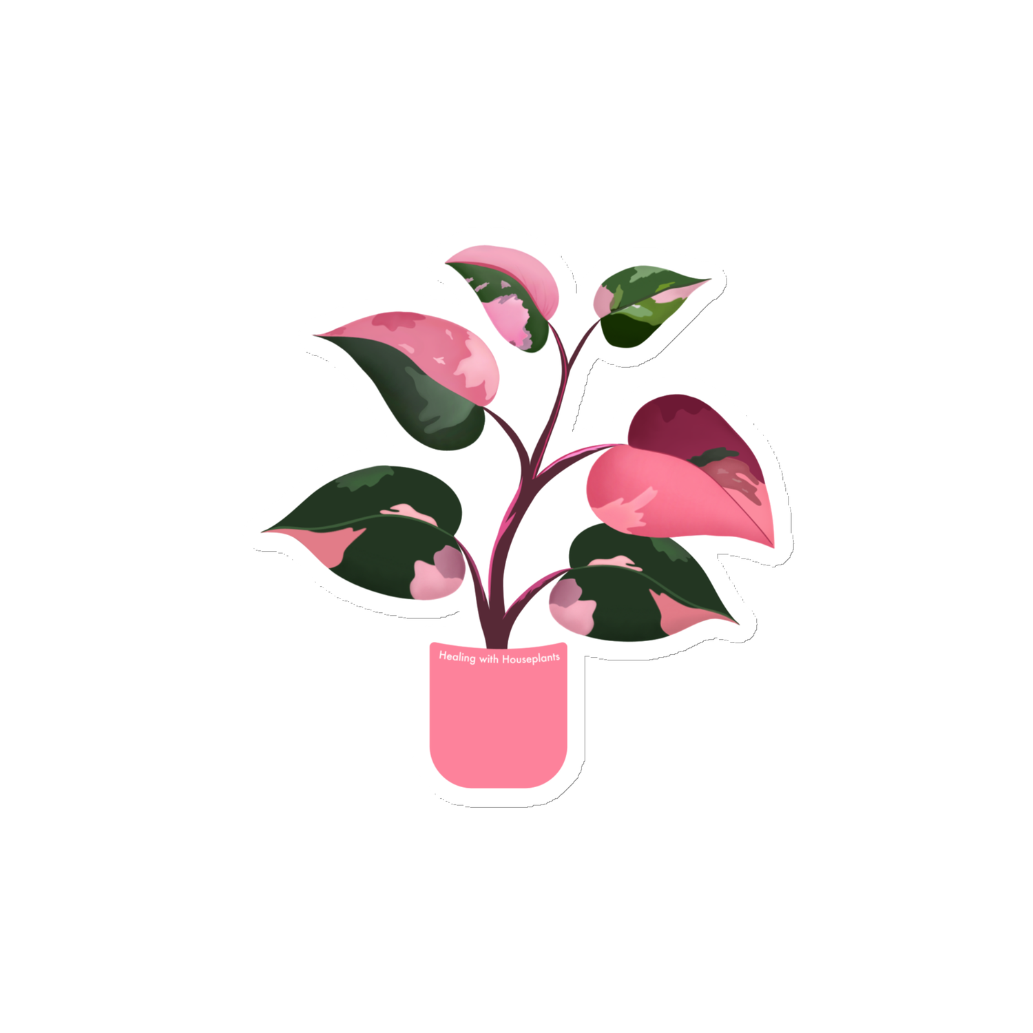 Philodendron &#39;Pink Princess&#39; Magnet