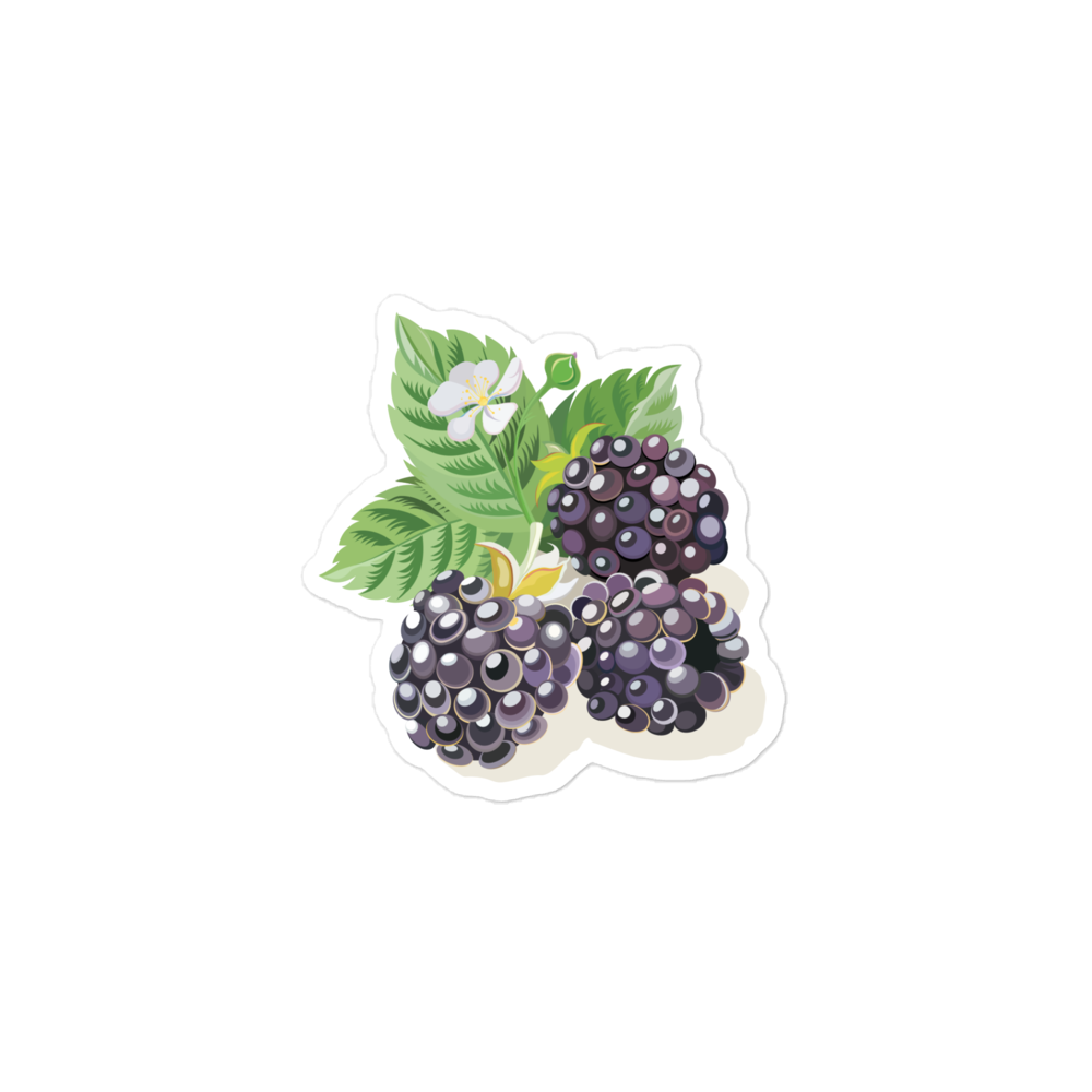 Blackberry Sticker