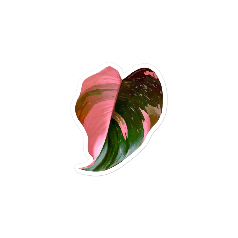 Philodendron &#39;Pink Princess&#39; Sticker