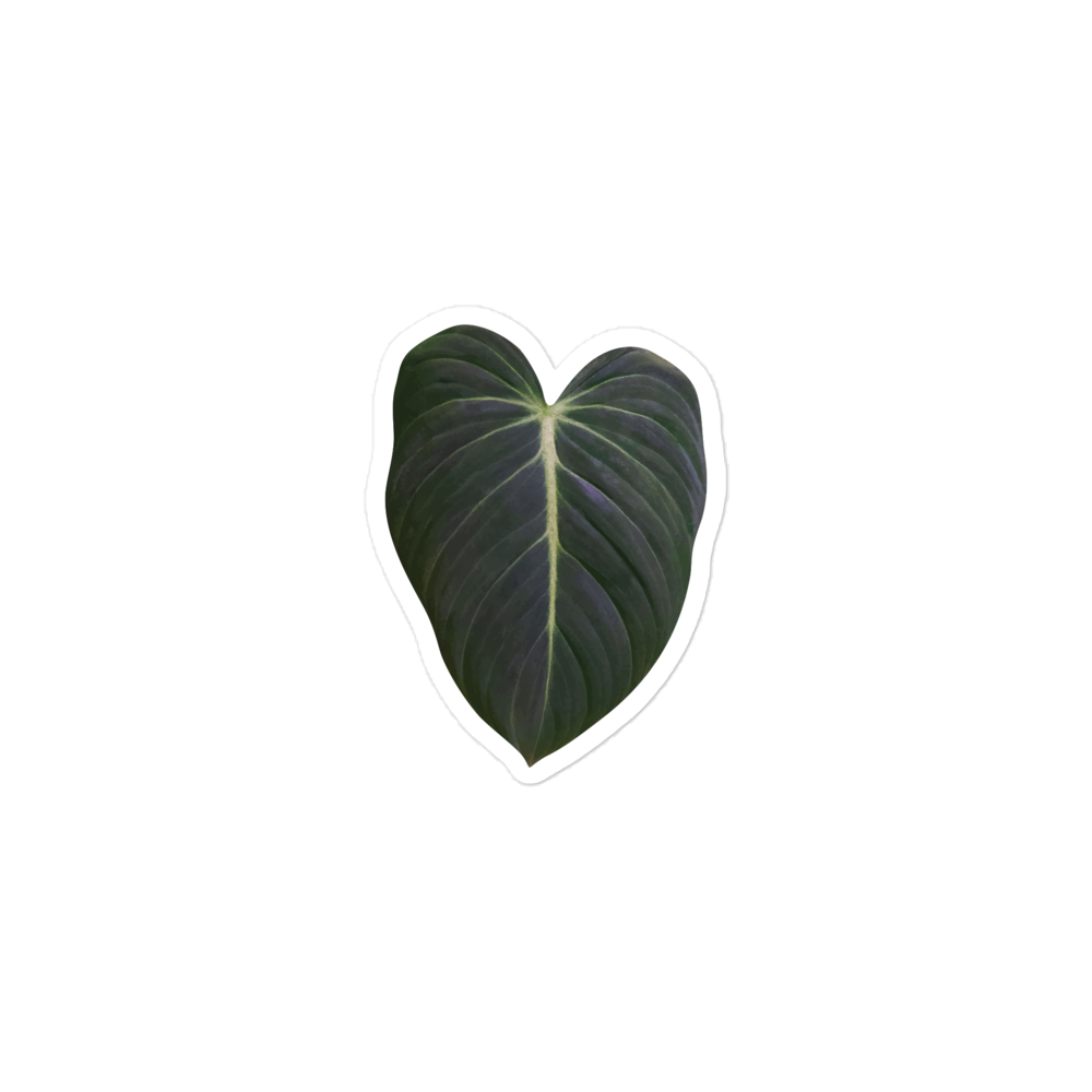 Philodendron &#39;Glorious&#39; Sticker