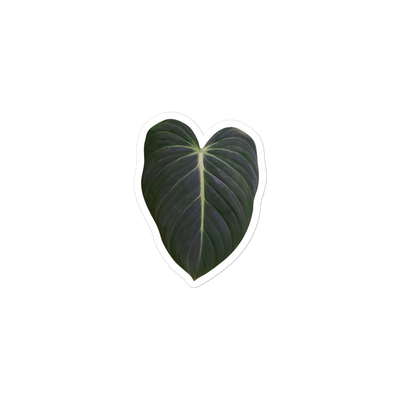 Philodendron &#39;Glorious&#39; Sticker