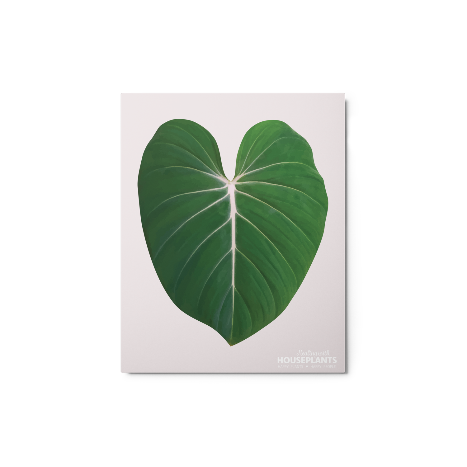 Philodendron &#39;Gloriosum&#39; Leaf Metal Print