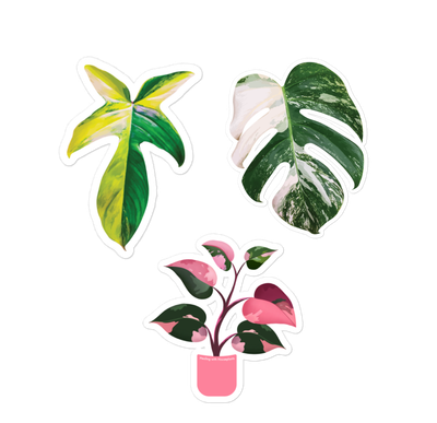 Vinyl Stickers
