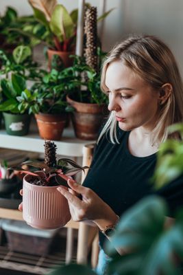How Caring for Plants Boosts Mental Health