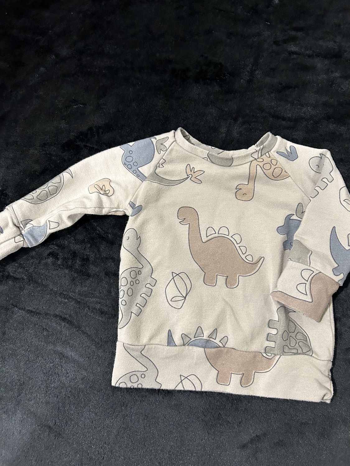 NB-6m Posh &amp; Cozy Long Sleeve Dino 3
