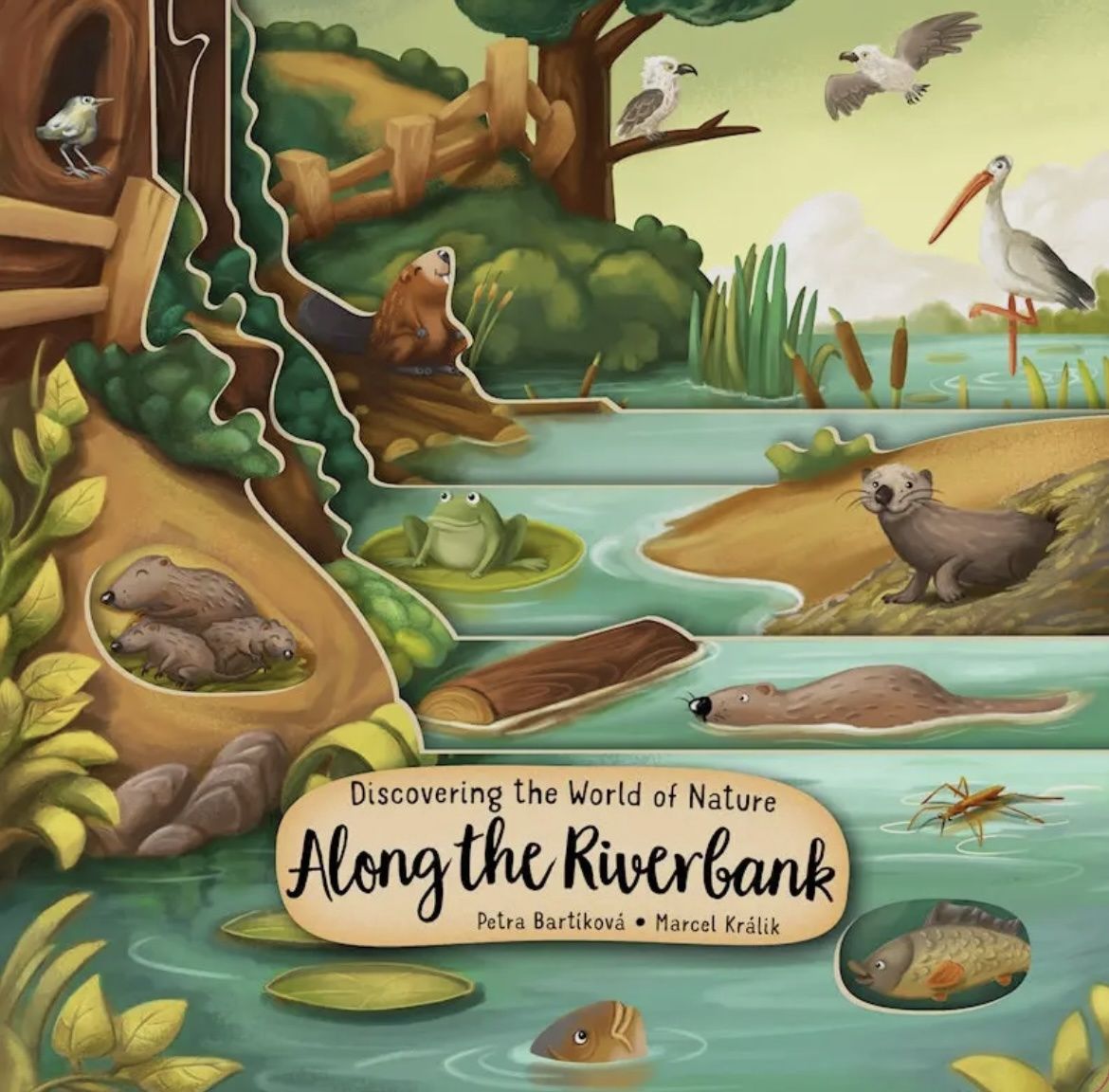Discovering Nature Along The Riverbank Book