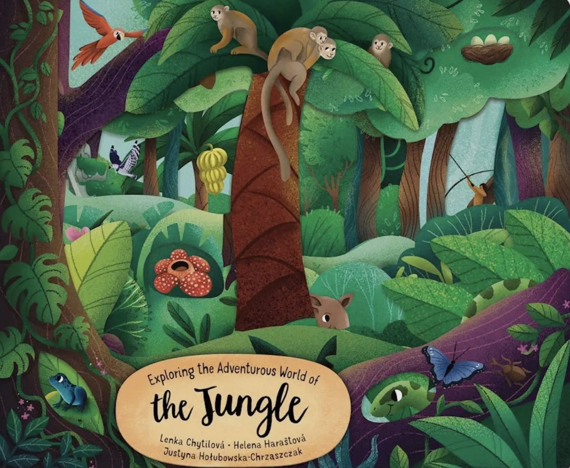 Explore The Jungle Book