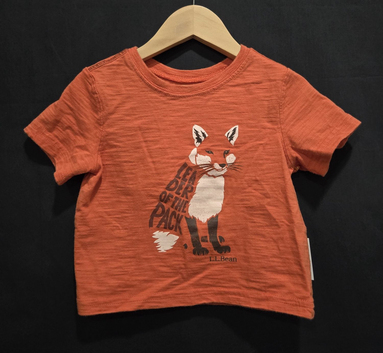 2T L.L.Bean Fox Tshirt