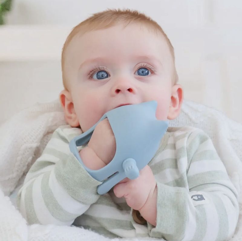 Silicone Cat Teething Mitt