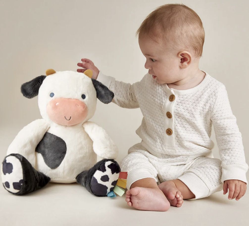 Sweetie Snuggles Cow