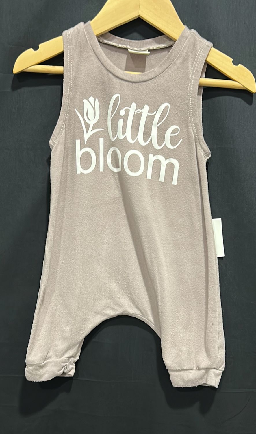 NB-6m Posh &amp; Cozy Bloom Romper