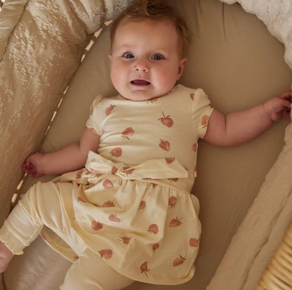 Dirkje 3pc Strawberry Dress Set