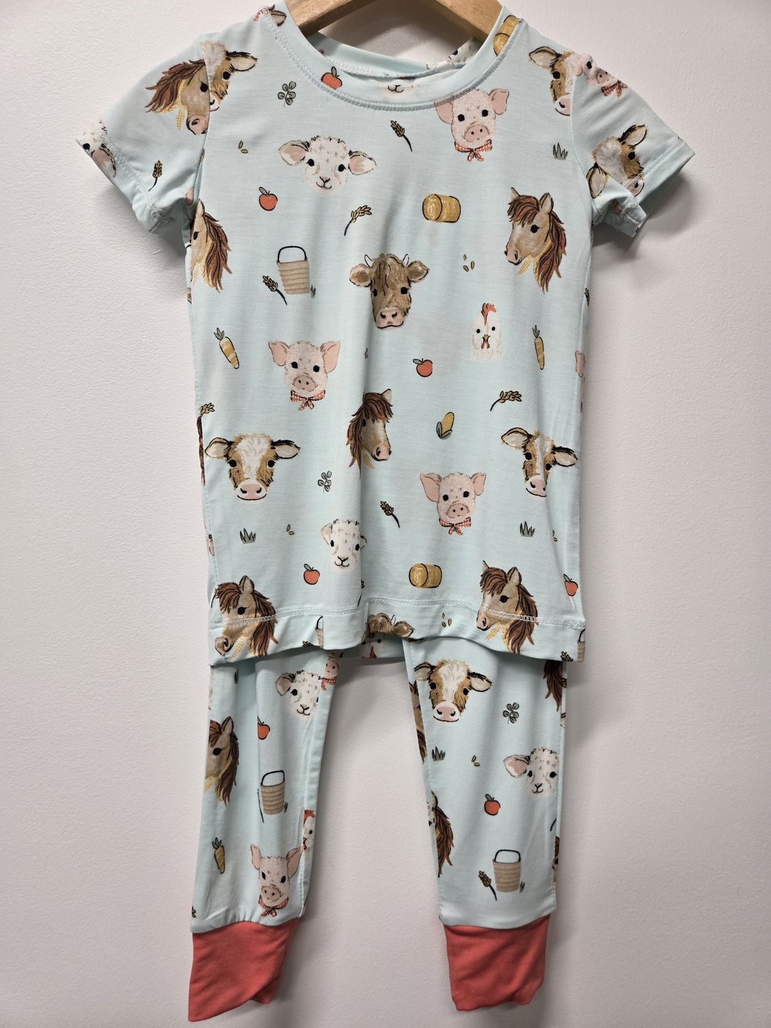 Animals Faces Blue 2pc Pjs
