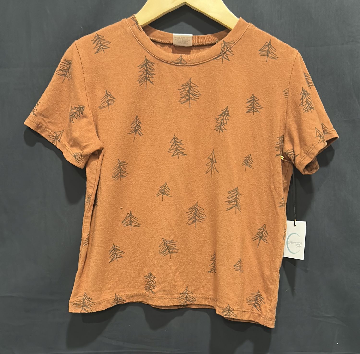 2T Posh &amp; Cozy Rust Tshirt